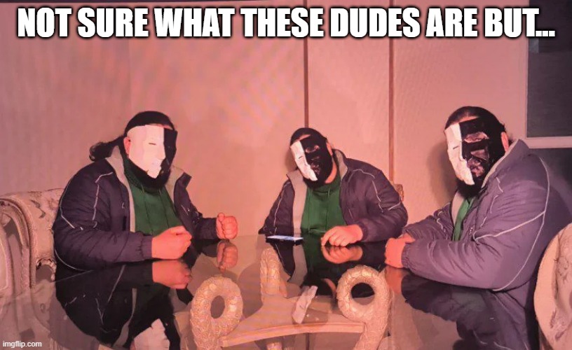 Masked Dudes | NOT SURE WHAT THESE DUDES ARE BUT... | image tagged in cursed image | made w/ Imgflip meme maker