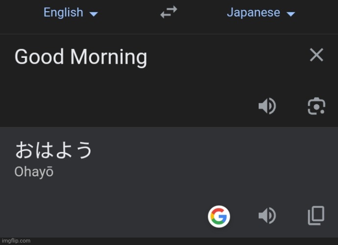 image tagged in ohio,google translate | made w/ Imgflip meme maker