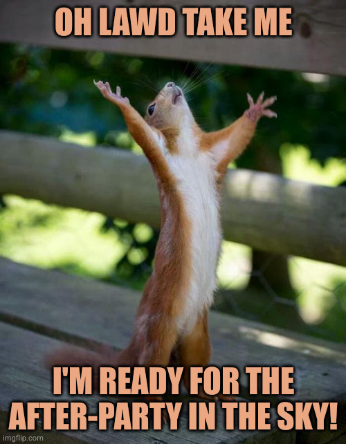 Happy Squirrel | OH LAWD TAKE ME; I'M READY FOR THE AFTER-PARTY IN THE SKY! | image tagged in happy squirrel | made w/ Imgflip meme maker