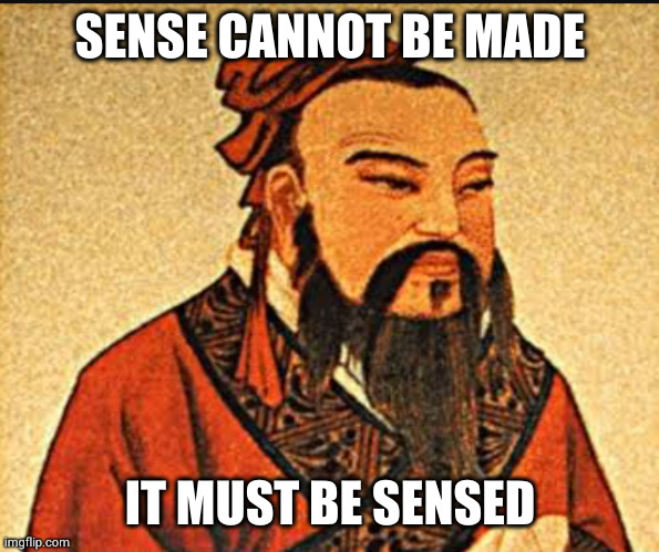 Ancient Chinese Wisdom | SENSE CANNOT BE MADE IT MUST BE SENSED | image tagged in ancient chinese wisdom | made w/ Imgflip meme maker