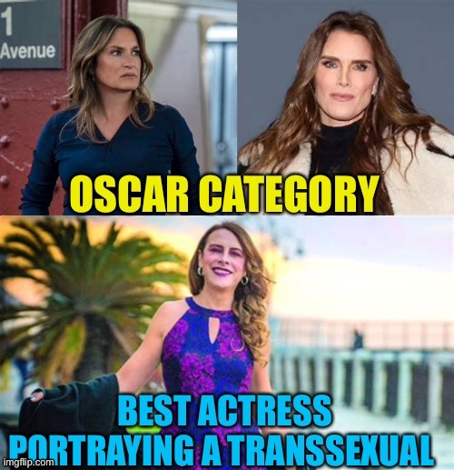 New Oscar category | image tagged in gifs,funny,oscar,the oscars,transgender | made w/ Imgflip meme maker