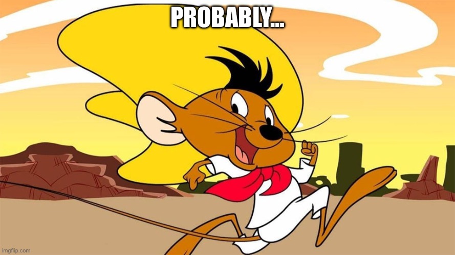 PROBABLY… | image tagged in speedy gonzales | made w/ Imgflip meme maker