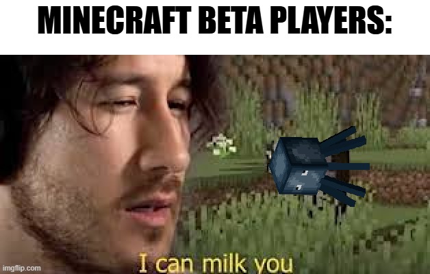 you could milk squids then | MINECRAFT BETA PLAYERS: | image tagged in minecraft,markiplier | made w/ Imgflip meme maker