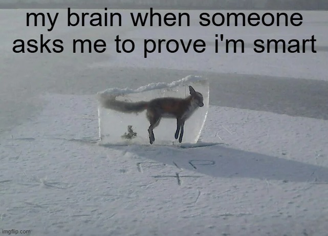 Frozen Fox | my brain when someone asks me to prove i'm smart | image tagged in frozen fox | made w/ Imgflip meme maker