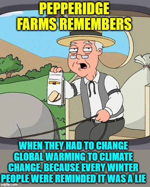 Pepperidge Farm Remembers Meme | PEPPERIDGE FARMS REMEMBERS WHEN THEY HAD TO CHANGE GLOBAL WARMING TO CLIMATE CHANGE, BECAUSE EVERY WINTER PEOPLE WERE REMINDED IT WAS A LIE | image tagged in memes,pepperidge farm remembers | made w/ Imgflip meme maker