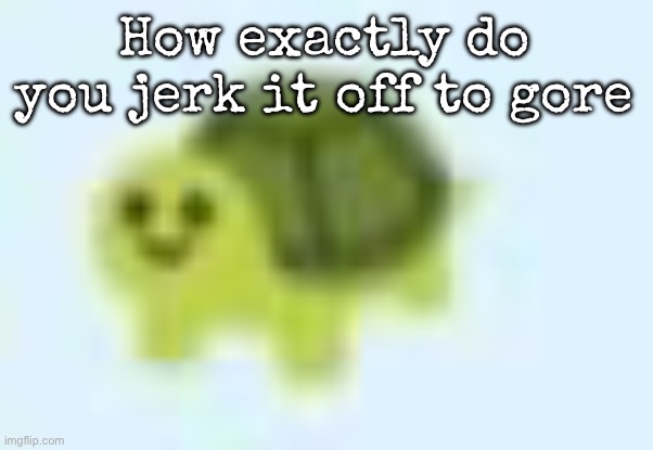 I feel like someone here has done this | How exactly do you jerk it off to gore | image tagged in low quality turtle,msmg | made w/ Imgflip meme maker