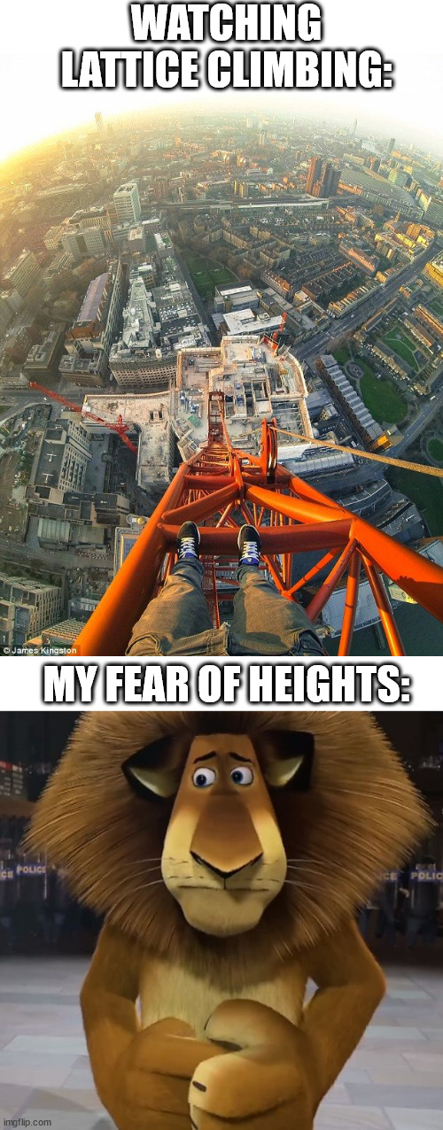 Watching the climb | WATCHING LATTICE CLIMBING:; MY FEAR OF HEIGHTS: | image tagged in climbing,lattice climbing,alex the lion,memes,joke | made w/ Imgflip meme maker