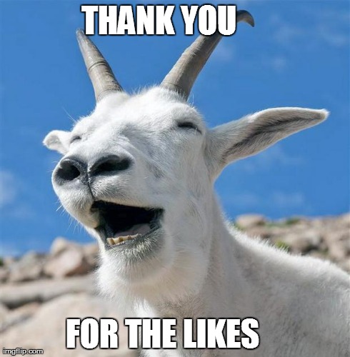 Laughing Goat | THANK YOU      FOR THE LIKES | image tagged in memes,laughing goat | made w/ Imgflip meme maker