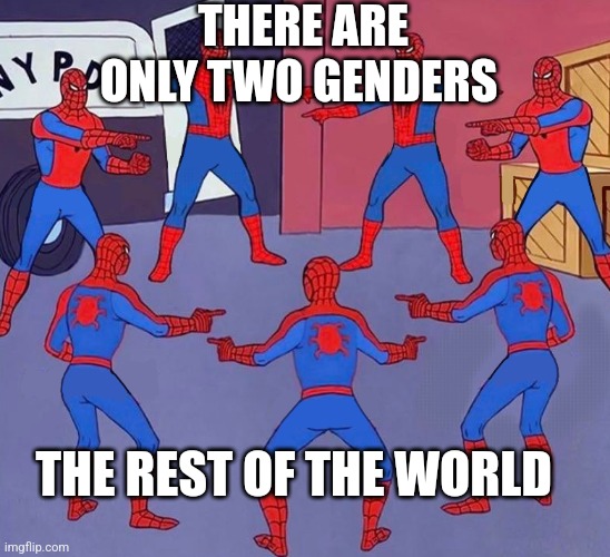 WELL WE TRIED | THERE ARE ONLY TWO GENDERS; THE REST OF THE WORLD | image tagged in same spider man 7 | made w/ Imgflip meme maker