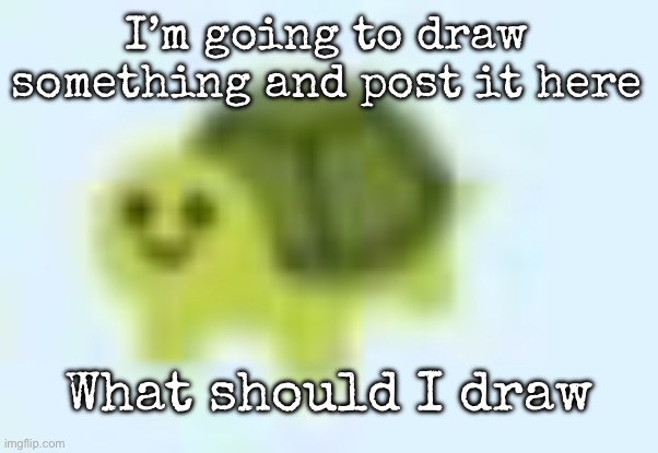 low quality turtle | I’m going to draw something and post it here; What should I draw | image tagged in low quality turtle,msmg | made w/ Imgflip meme maker