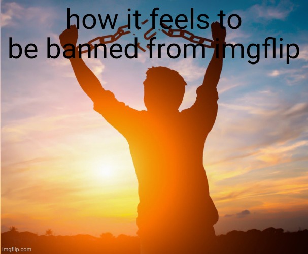 in all seriousness I'm not a banned alt | how it feels to be banned from imgflip | image tagged in man breaking free from chains over the sunset | made w/ Imgflip meme maker