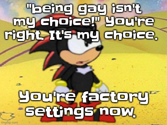 Adventures of shadow the hedgehog | "being gay isn't my choice!" You're right. It's my choice. You're factory settings now. | image tagged in adventures of shadow the hedgehog | made w/ Imgflip meme maker