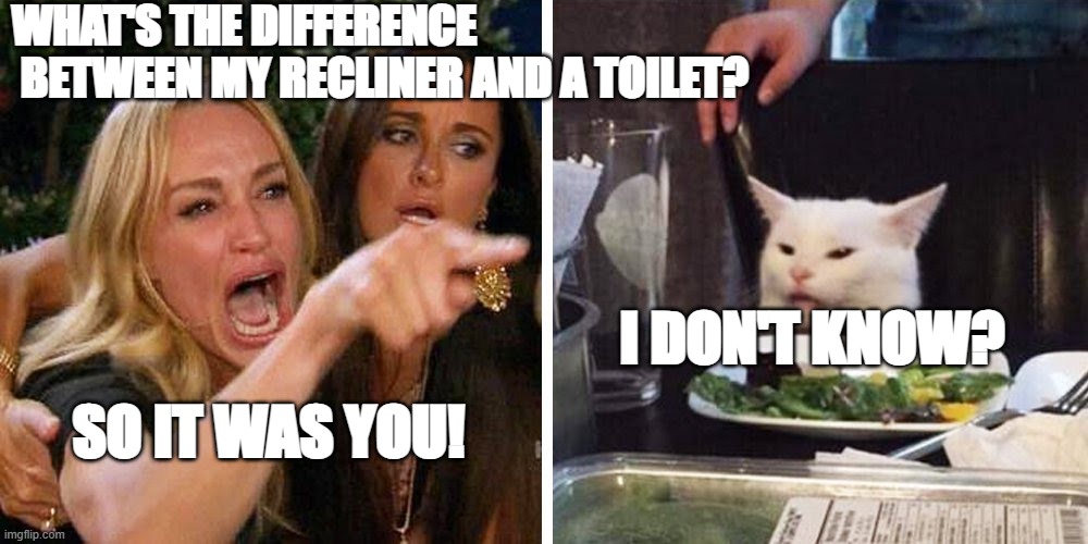 Recliner or toilet? | WHAT'S THE DIFFERENCE
 BETWEEN MY RECLINER AND A TOILET? I DON'T KNOW? SO IT WAS YOU! | image tagged in smudge the cat | made w/ Imgflip meme maker