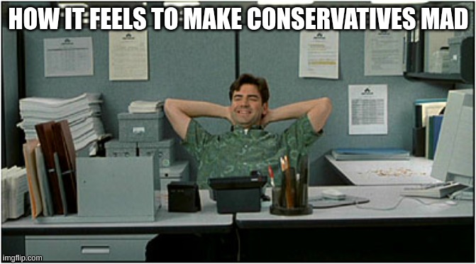 Goofy little stalkers | HOW IT FEELS TO MAKE CONSERVATIVES MAD | image tagged in relaxed peter gibbons,conservatives,triggered,triggered conservatives,stalking | made w/ Imgflip meme maker