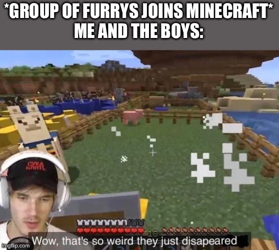 They just disappeared | *GROUP OF FURRYS JOINS MINECRAFT*
ME AND THE BOYS: | image tagged in they just disappeared | made w/ Imgflip meme maker