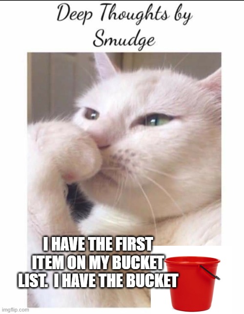 Bucket list | I HAVE THE FIRST ITEM ON MY BUCKET LIST.  I HAVE THE BUCKET | image tagged in smudge | made w/ Imgflip meme maker