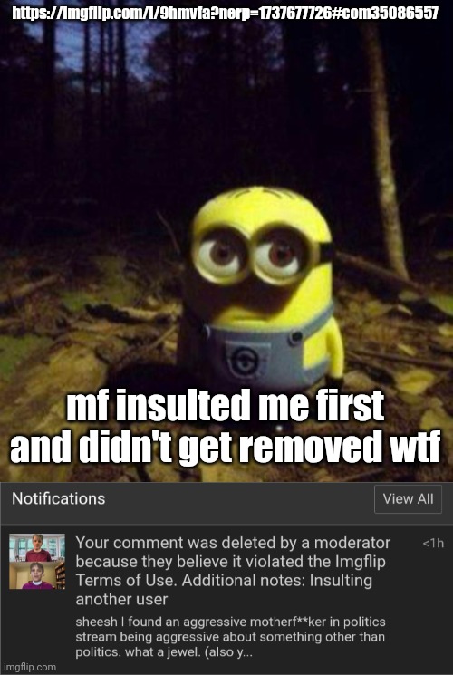 but shame on me for commenting literally anything in politics steam | https://imgflip.com/i/9hmvfa?nerp=1737677726#com35086557; mf insulted me first and didn't get removed wtf | image tagged in minion staring | made w/ Imgflip meme maker