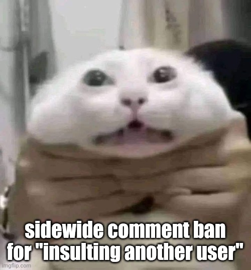 I love this website omfg | sidewide comment ban for "insulting another user" | image tagged in car | made w/ Imgflip meme maker