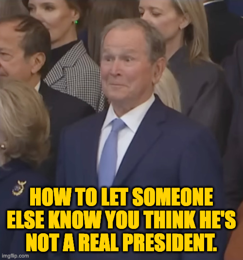 Step Brothers? | HOW TO LET SOMEONE
ELSE KNOW YOU THINK HE'S
NOT A REAL PRESIDENT. | image tagged in memes,dubya | made w/ Imgflip meme maker