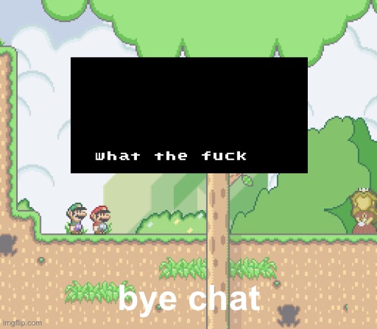 smw what the fuck | bye chat | image tagged in smw what the fuck | made w/ Imgflip meme maker