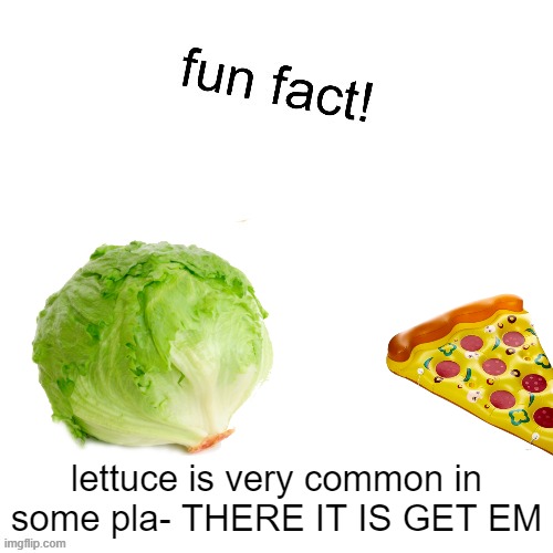 I WILL FINALLY GET MY PAYCHECK | lettuce is very common in some pla- THERE IT IS GET EM | image tagged in maxies fun fact | made w/ Imgflip meme maker