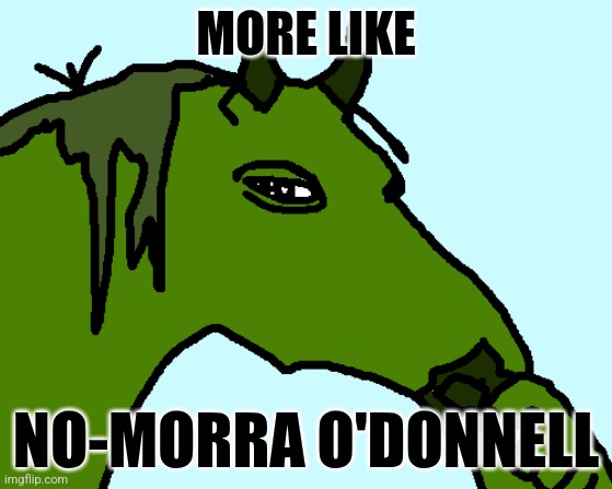 horse pepe | MORE LIKE NO-MORRA O'DONNELL | image tagged in horse pepe | made w/ Imgflip meme maker