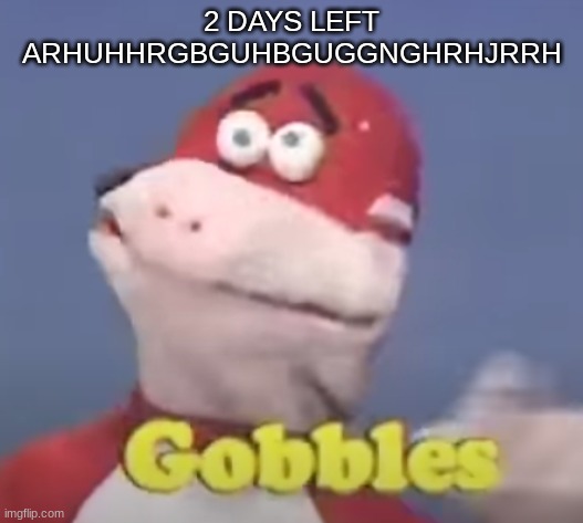 gobbles | 2 DAYS LEFT ARHUHHRGBGUHBGUGGNGHRHJRRH | image tagged in gobbles | made w/ Imgflip meme maker