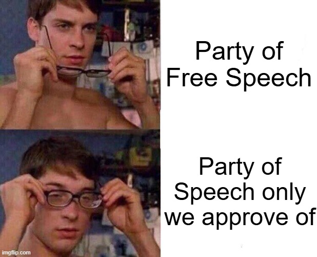 Spiderman Glasses | Party of Free Speech; Party of Speech only we approve of | image tagged in spiderman glasses,free speech,conservative hypocrisy,freedom of speech,social media | made w/ Imgflip meme maker