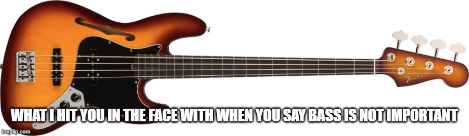 Fender Limited Edition Suona Jazz Bass(R) Thinline | WHAT I HIT YOU IN THE FACE WITH WHEN YOU SAY BASS IS NOT IMPORTANT | image tagged in bass guitar | made w/ Imgflip meme maker