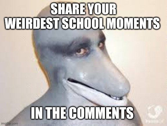 Weird | SHARE YOUR WEIRDEST SCHOOL MOMENTS; IN THE COMMENTS | image tagged in dolphin guy | made w/ Imgflip meme maker