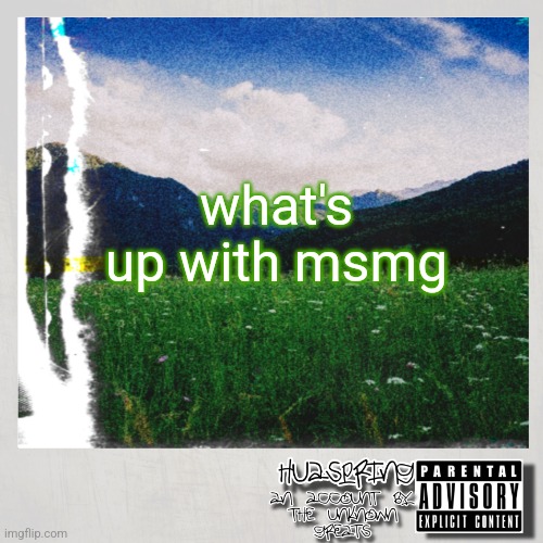 HuaSpring Temp | what's up with msmg | image tagged in huaspring temp | made w/ Imgflip meme maker