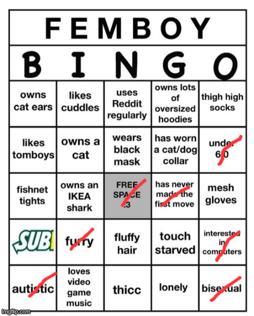 Am I a femboy? (Short answer: no) (12 in a row) | image tagged in femboy bingo | made w/ Imgflip meme maker