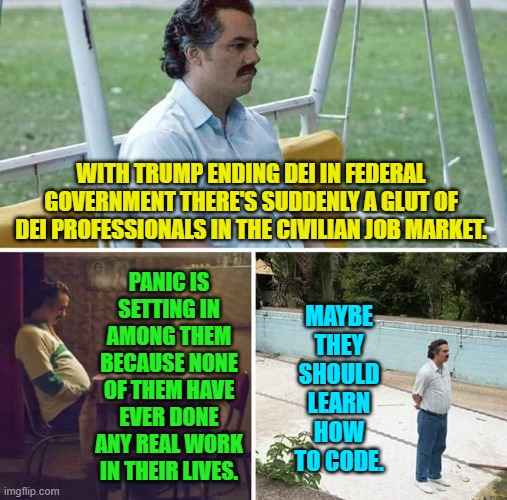 That or take up coal mining. | WITH TRUMP ENDING DEI IN FEDERAL GOVERNMENT THERE'S SUDDENLY A GLUT OF DEI PROFESSIONALS IN THE CIVILIAN JOB MARKET. MAYBE THEY SHOULD LEARN HOW TO CODE. PANIC IS SETTING IN AMONG THEM BECAUSE NONE OF THEM HAVE EVER DONE ANY REAL WORK IN THEIR LIVES. | image tagged in sad pablo escobar | made w/ Imgflip meme maker