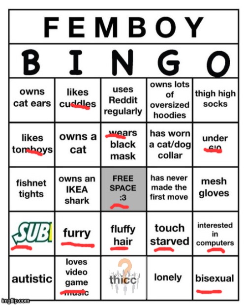 Femboy Bingo | image tagged in femboy bingo | made w/ Imgflip meme maker