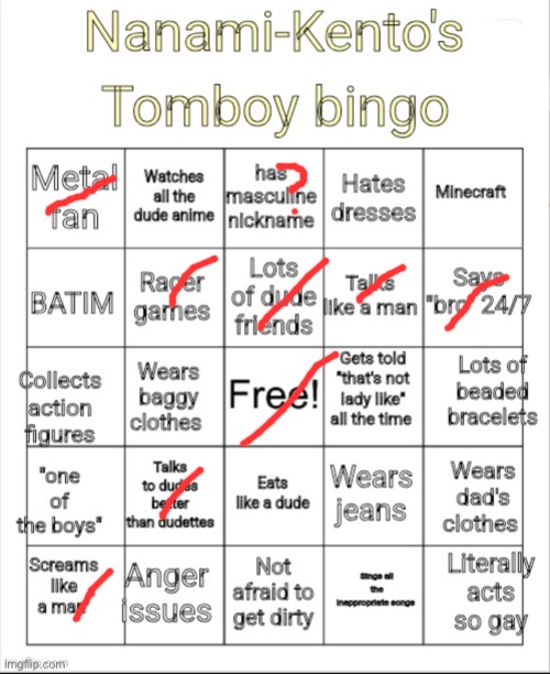 Can’t even get bingo on the tomboy bingo board, 13 | image tagged in nanami-kento's tomboy bingo | made w/ Imgflip meme maker