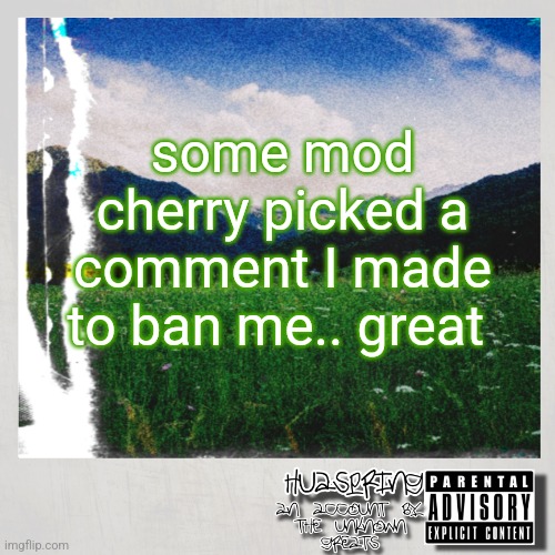 HuaSpring Temp | some mod cherry picked a comment I made to ban me.. great | image tagged in huaspring temp | made w/ Imgflip meme maker