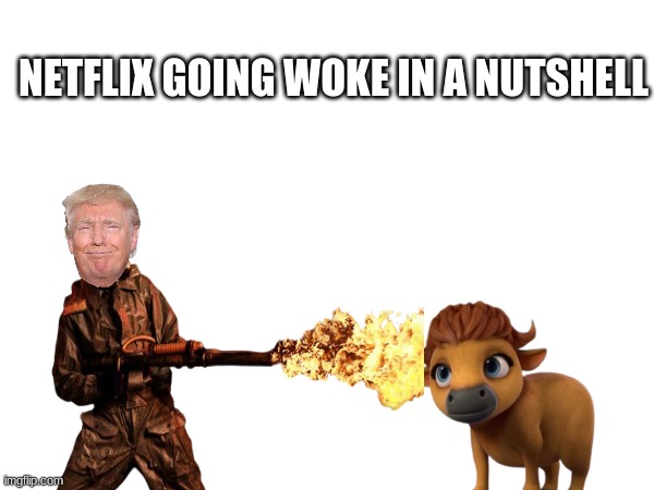 Ridley Jones meme | NETFLIX GOING WOKE IN A NUTSHELL | image tagged in memes,non binary,donald trump,maga,woke,daisy ridley | made w/ Imgflip meme maker