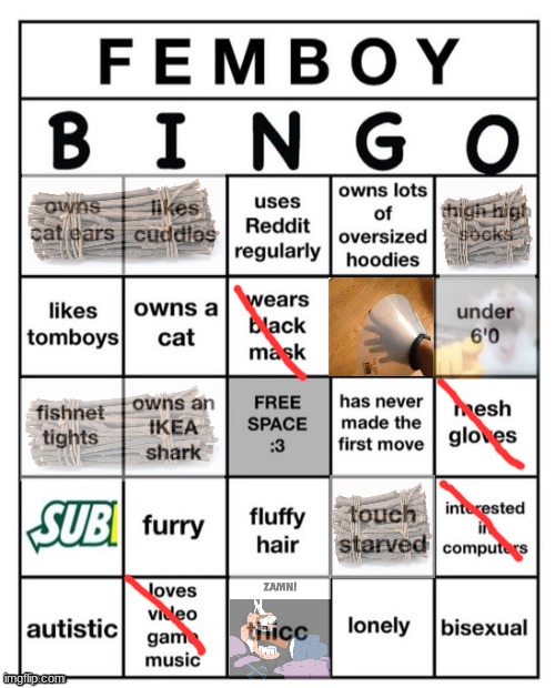 Femboy Bingo | image tagged in femboy bingo | made w/ Imgflip meme maker