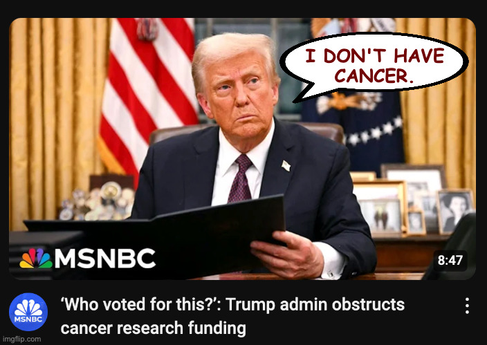 Who voted for this? | I DON'T HAVE
CANCER. | image tagged in memes,trump,cancer | made w/ Imgflip meme maker