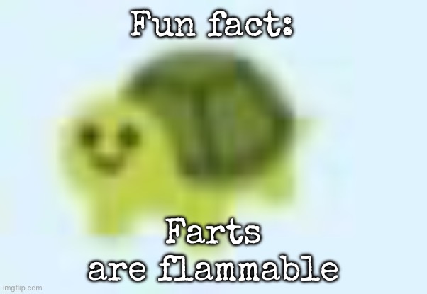 low quality turtle | Fun fact:; Farts are flammable | image tagged in low quality turtle,msmg | made w/ Imgflip meme maker