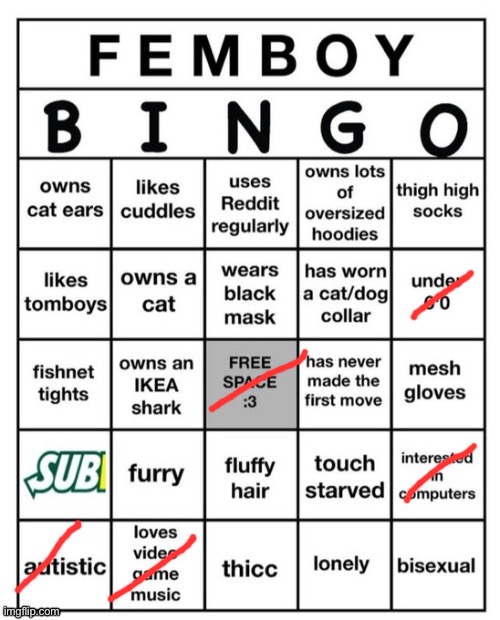 Femboy Bingo | image tagged in femboy bingo | made w/ Imgflip meme maker