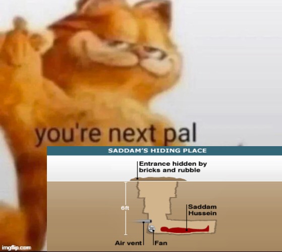You're next pal | image tagged in you're next pal | made w/ Imgflip meme maker