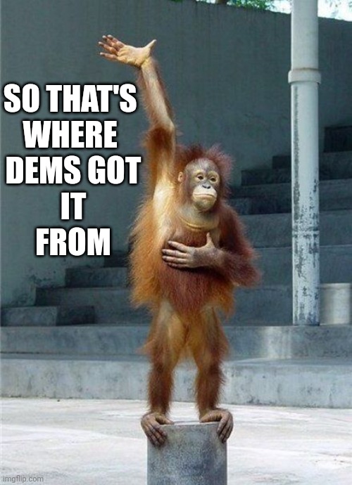 Monkey Raising Hand | SO THAT'S 
WHERE 
DEMS GOT
 IT 
FROM | image tagged in monkey raising hand | made w/ Imgflip meme maker