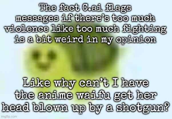 Very strange in my opinion | The fact C.ai flags messages if there’s too much violence like too much fighting is a bit weird in my opinion; Like why can’t I have the anime waifu get her head blown up by a shotgun? | image tagged in low quality turtle,msmg | made w/ Imgflip meme maker