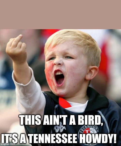 Hey Elon | THIS AIN'T A BIRD, IT'S A TENNESSEE HOWDY! | image tagged in little boy flipping the bird | made w/ Imgflip meme maker