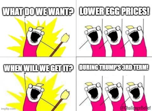 Trump's 3rd term | WHAT DO WE WANT? LOWER EGG PRICES! DURING TRUMP'S 3RD TERM! WHEN WILL WE GET IT? @ChallengeBelief | image tagged in memes,what do we want | made w/ Imgflip meme maker