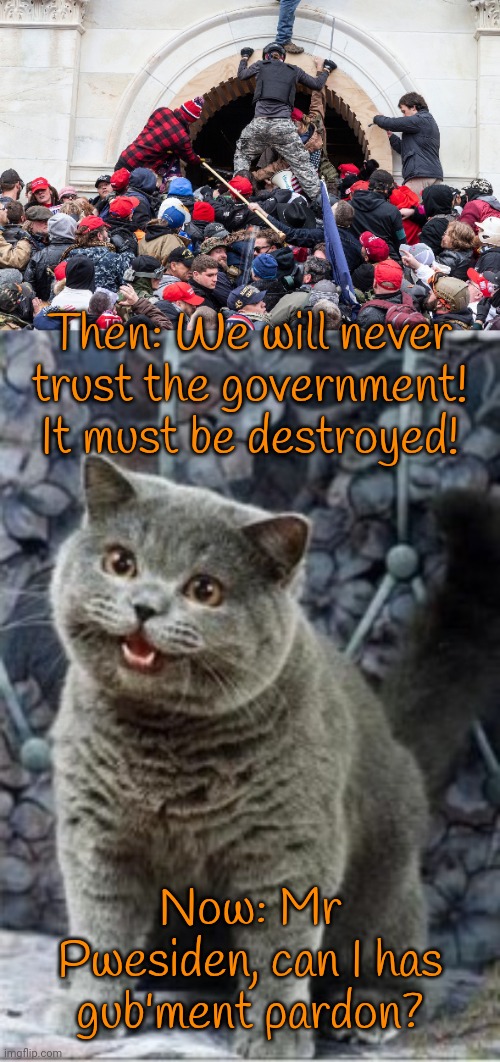 They claimed to have principles. | Then: We will never trust the government! It must be destroyed! Now: Mr Pwesiden, can I has gub'ment pardon? | image tagged in 1/6 capitol riot attack insurrection sedition trump maga militia,can i haz cheeseburger,conservative logic,traitors | made w/ Imgflip meme maker