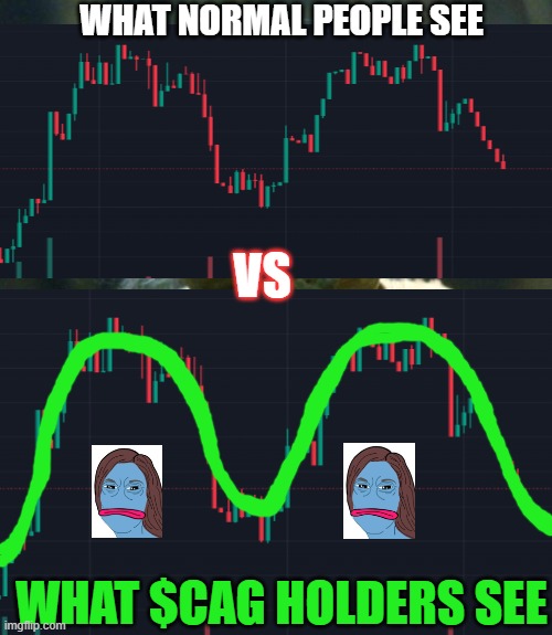 ONLY $CAG HOLDERS SEE THIS | WHAT NORMAL PEOPLE SEE; VS; WHAT $CAG HOLDERS SEE | image tagged in memes,funny | made w/ Imgflip meme maker