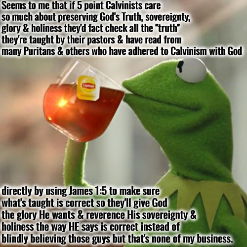 Stop Blindly Trusting Man's Expository | Seems to me that if 5 point Calvinists care so much about preserving God's Truth, sovereignty, glory & holiness they'd fact check all the "truth" they're taught by their pastors & have read from many Puritans & others who have adhered to Calvinism with God; directly by using James 1:5 to make sure what's taught is correct so they'll give God the glory He wants & reverence His sovereignty & holiness the way HE says is correct instead of blindly believing those guys but that's none of my business. | image tagged in but that's none of my business,calvinism,arminian,molinism,always get final word from god directly,ghoulish puppet cult lies | made w/ Imgflip meme maker