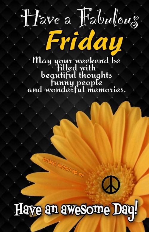 CUTENESS, POSITIVITY AND JOY! | made w/ Imgflip meme maker